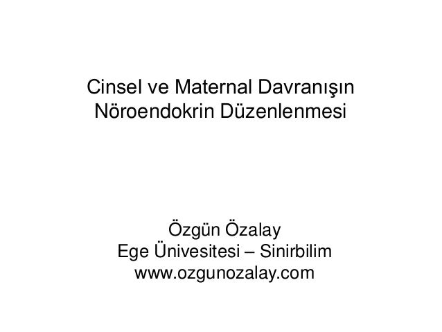 Cinsel hormonlar: prolaktin, progesteron, LH, FSH Cinsel hormonlar: prolaktin, progesteron, LH, FSH